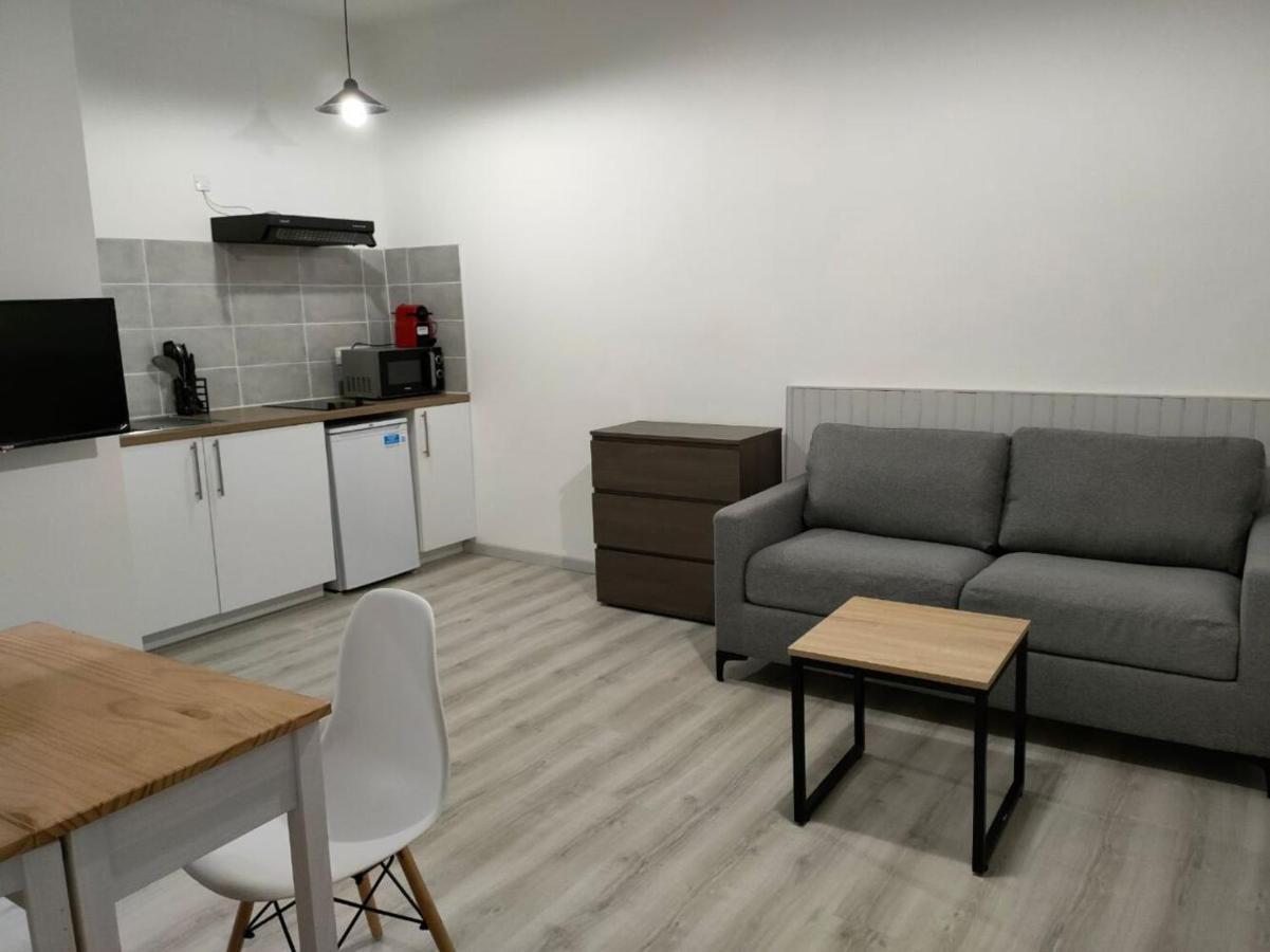 Saint Etienne Studio Lot 8 Apartamento Toulouse Exterior foto